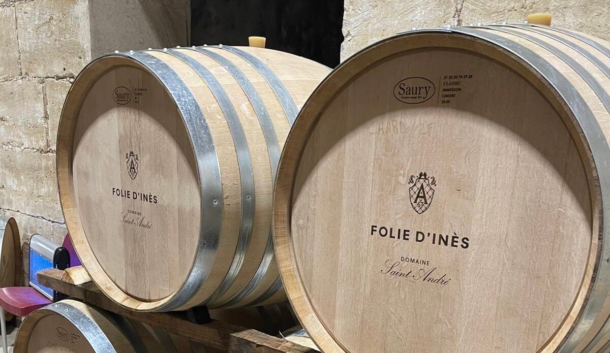 A Visit to Domaine St Andre