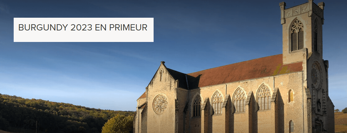 Burgundy 2023 – Immediate Overview