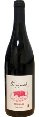 Pinot Noir Amphore 2017, Domaine Ternynck