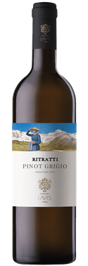 Ritratti Pinot Grigio DOC, Cantina Lavis